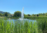 Woodbine park fountain