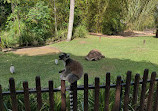 Australia Zoo