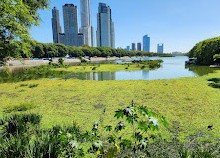 Reserva Ecológica Costanera Sur