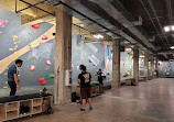 Method Climbing Gym