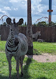 Busch Gardens Tampa Bay