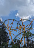 Busch Gardens Tampa Bay