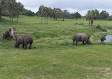 Busch Gardens Tampa Bay