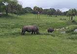 Busch Gardens Tampa Bay