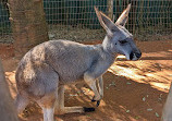 Busch Gardens Tampa Bay