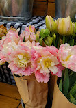 Copley Square Farmers Market