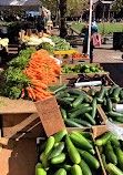 Copley Square Farmers Market