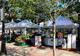 Copley Square Farmers Market