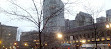 Copley Square Farmers Market