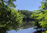 Upper Francis Pond Preserve