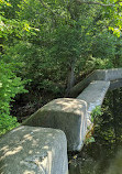 Upper Francis Pond Preserve