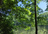 Upper Francis Pond Preserve