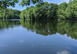 Upper Francis Pond Preserve