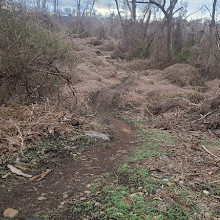 Hempstead Harbor Woods Mountain Bike Trails