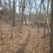 Hempstead Harbor Woods Mountain Bike Trails