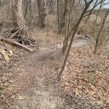 Hempstead Harbor Woods Mountain Bike Trails