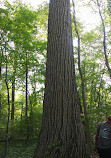 Weinberg Nature Center