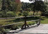 Marsh Sanctuary