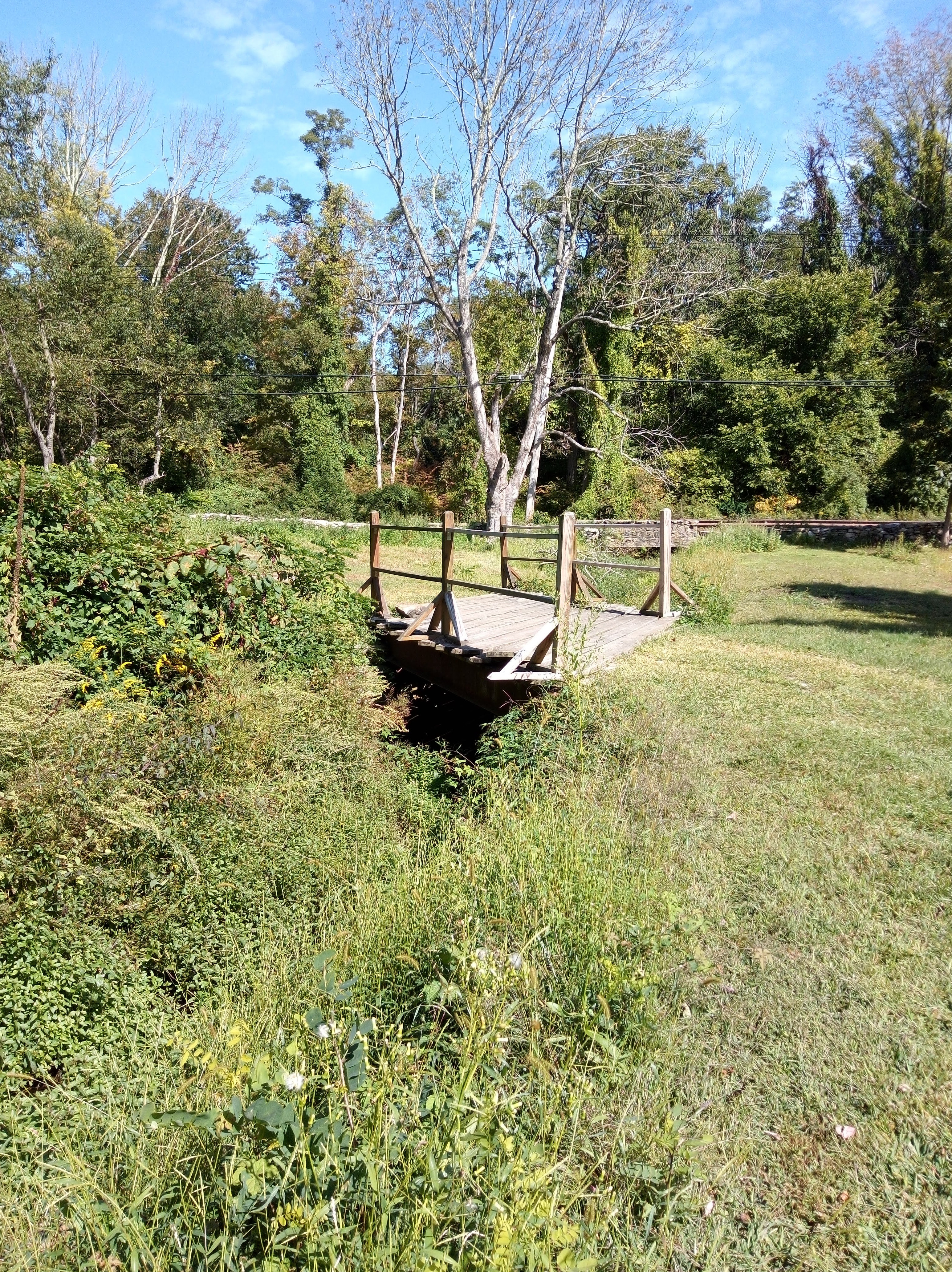 Marsh Sanctuary