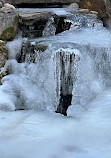 Hoyt Farm Nature Preserve