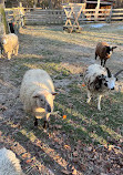 Hoyt Farm Nature Preserve