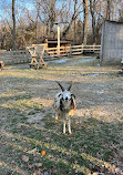 Hoyt Farm Nature Preserve