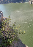 Shoshone Falls