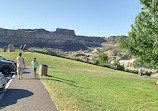 Shoshone Falls