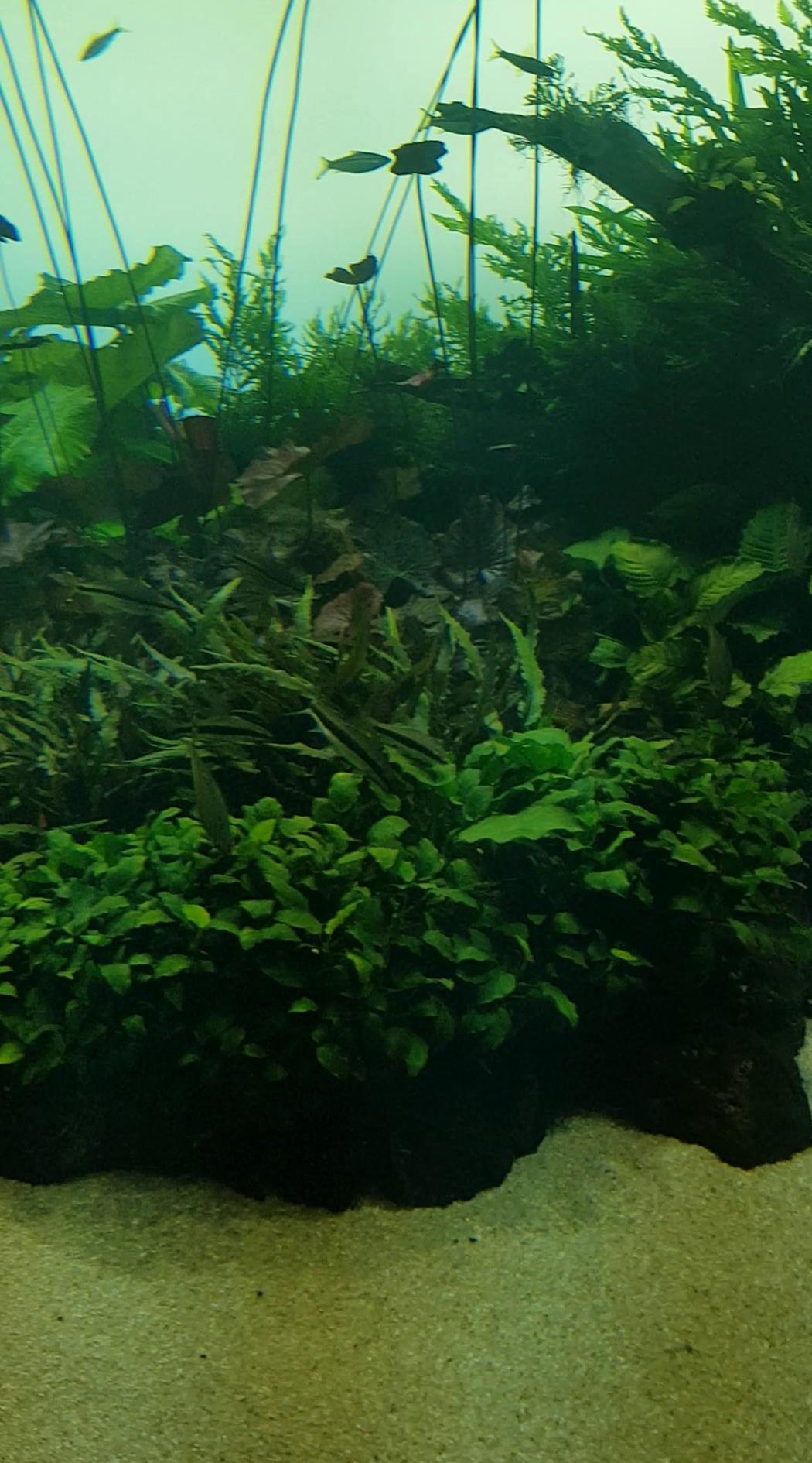 Oceanário de Lisboa