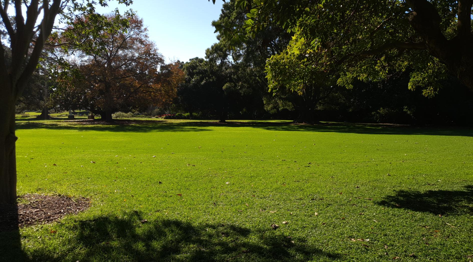 Pioneer Garden