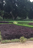 Sandringham Memorial Garden and Fountain