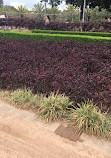 Sandringham Memorial Garden and Fountain