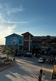 The Oasis On Lake Travis