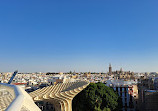 Setas de Sevilla