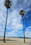 Venice beach