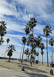 Venice beach