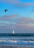 Venice beach