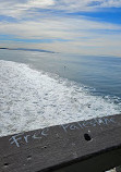 Venice beach