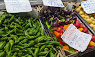 Mercado Central de Valencia