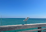 Venice Beach