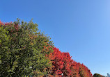 Millennium Park