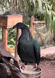 ZooParc de Beauval