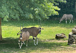 ZooParc de Beauval