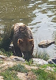 ZooParc de Beauval