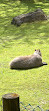 ZooParc de Beauval