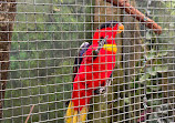 ZooParc de Beauval