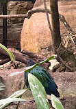 ZooParc de Beauval