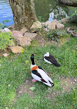 ZooParc de Beauval