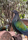 ZooParc de Beauval