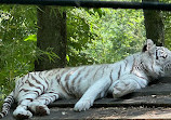 ZooParc de Beauval